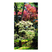 Spring Trees Photo Card