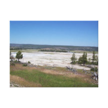 Springs Canvas Prints