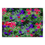 Springtime Colours note card