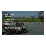 Springtime in the Sonoran Desert Pink flowers Business Card Templates