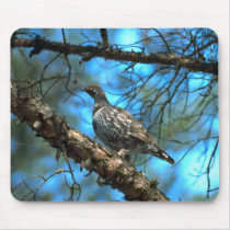 Spruce Grouse-male mousepads