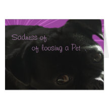 SQ Buggs dog-7321-customise any occasion Greeting Card