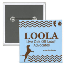 Square LOOLAorg Metal Pin