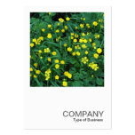 Square Photo 0454 - Buttercups Business Card Templates