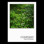 Square Photo 0468 - Woodland Flowers business cards