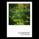 Square Photo 0469 - Spring in the Woods business cards
