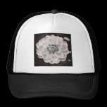 Square photo - Chrysanthemum hats