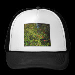 Square Photo - Magnolia Bush 02 hats