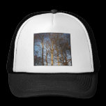Square Photo - Sunlit Winter Trees hats