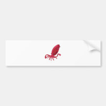 Squid - My Conservation Park Bumper Stickers