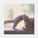 Squirrel and Coffee Cup Fridge Magnets