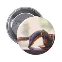 Squirrel and Coffee Cup Pinback Buttons