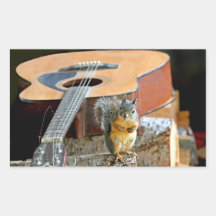 Squirrel and Guitar Rectangle Sticker