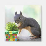 Squirrel and Wrapped Present Refrigerator Magnet