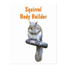 Squirrel Body Builder Post Cards