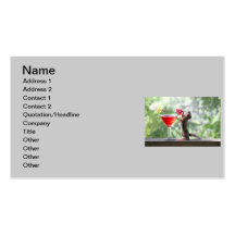 Squirrel Drinking a Cocktail Business Card Templates