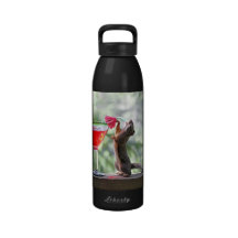 Squirrel Drinking a Cocktail Drinking Bottles
