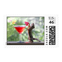 Squirrel Drinking Tropical Drink stamps