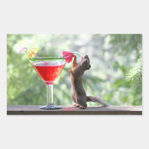 Squirrel Drinking Tropical Drink Rectangle Stickers