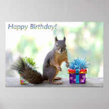 Squirrel Happy Birthday! Print