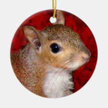Squirrel Head Ornament