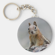 squirrel keychains