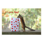 Squirrel Looking Inside Heart Box, "I Love You" Photo Art
