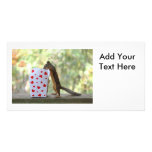 Squirrel Looking Inside Heart Box Photo Greeting Card