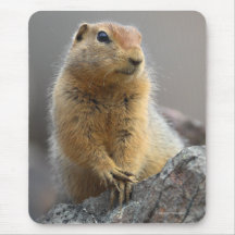 squirrel mousemat