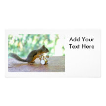 Squirrel Playing Drums Picture Card
