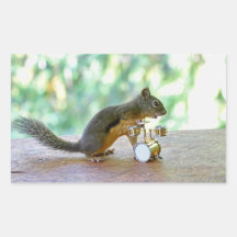 Squirrel Playing Drums Sticker
