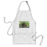 Squirrel Playing Electric Guitar Apron