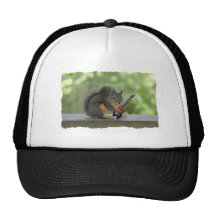 Squirrel Playing Electric Guitar Hats