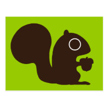 Squirrel Post Card