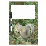 Squirrel with Acorn Memo Board Dry Erase Boards