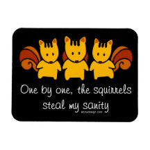 Squirrels steal my sanity flexible magnet