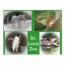 St. Louis Zoo Post Cards