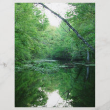 St. Marks River Personalized Flyer