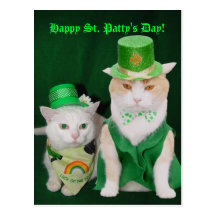 St. Patrick Kitties Postcards