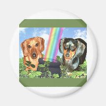 St Patricts Day Doxies Fridge Magnet