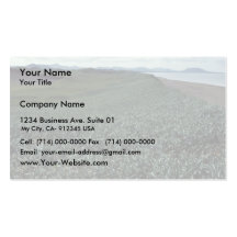 St. Paul Island, Sand dune habitat Pribilof Island Business Cards
