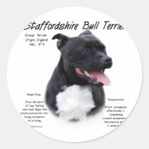 Staffordshire Bull Terrier History Design Round Stickers
