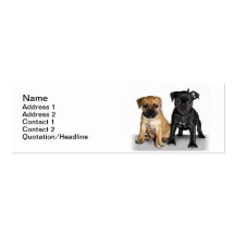 Staffordshire bull terrier puppies business card template