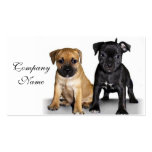 Staffordshire bull terrier puppies business cards