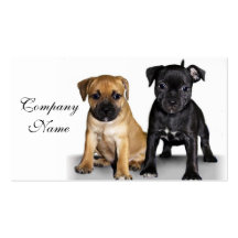 Staffordshire bull terrier puppies business cards