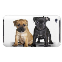 Staffordshire bull terrier puppies Case-Mate iPod touch case