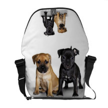 Staffordshire bull terrier puppies courier bag