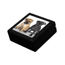 Staffordshire bull terrier puppies gift box