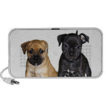 Staffordshire bull terrier puppies iPod speakers
