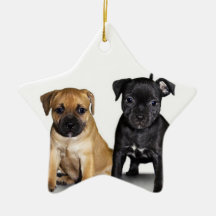 Staffordshire bull terrier puppies ornament